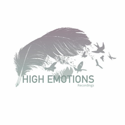 High Emotions Recordings’s avatar