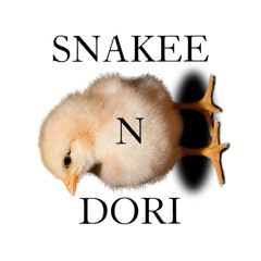 snakee n dori