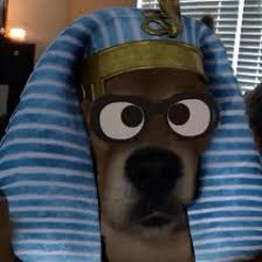 Zahxskii