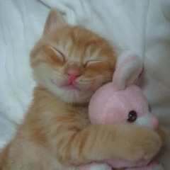 Maow