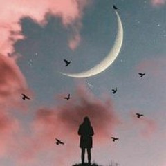 Nour Abd Elhamed