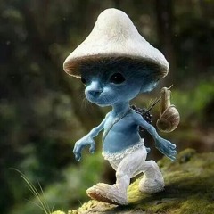 Freequenzi