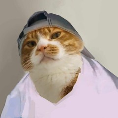 CalooCat