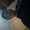 Danylo Bermeo