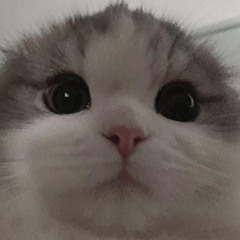 pen