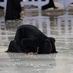 Mona Elawadly