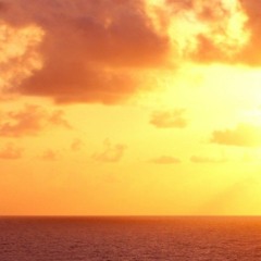 ꧁𝕄𝕚𝕤𝕤 𝕁𝕚𝕟𝕟𝕪꧂