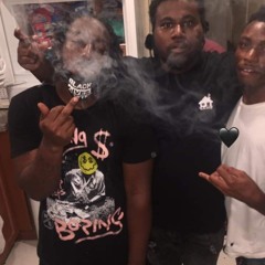 tnl tray