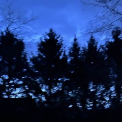 350352995