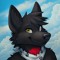 COOLWOLF