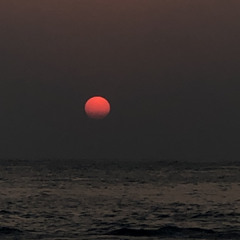 Aishath Willinee
