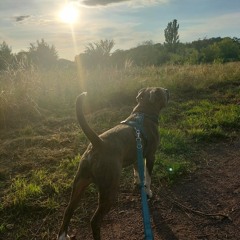 kURzEr🦖