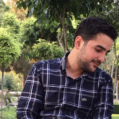 Ramin JooniChian