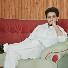 Malik Adeel