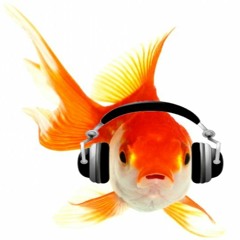 Guldfish (Tony Fisher)