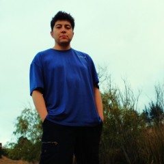 David Toro Muñoz