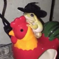 pufiufi24