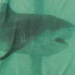 DEATHISCERTAINLIFEISNOT