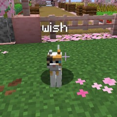 wish