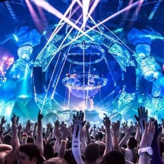 Nightlife Records 2025
