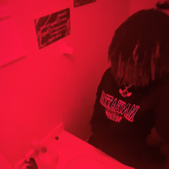 bull2trim
