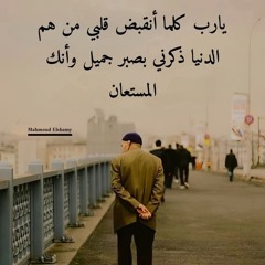 Ahmed Asem 12010000