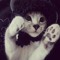 🌿🐾| 🎸 ROCKY!!📎