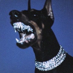 DON JZE