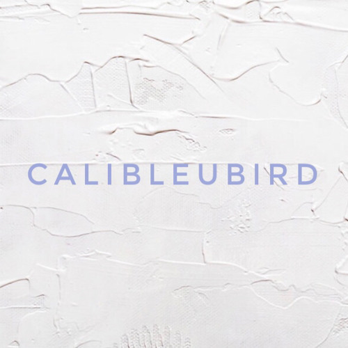 Calibleubird’s avatar