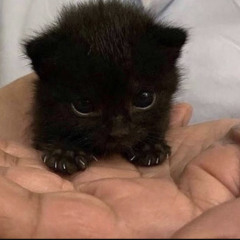 EMA RODRIGUEZ-FILIPEK