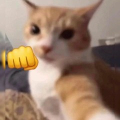 Rezo