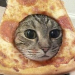 𝕊𝕚𝕝𝕖𝕝𝕚𝕥𝟘𝟡