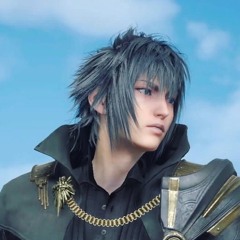 NOCTIS