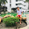 Alif Hakim