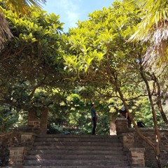 Jam Session 6 - Sous le Néflier du Japon