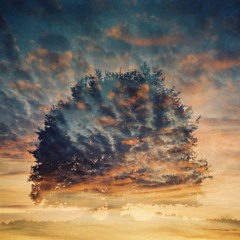 Dusty Tree