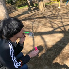 やまたつ（のじか）