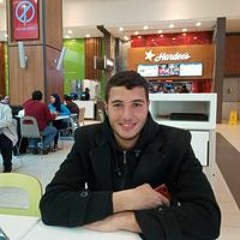 الطائر اللوحيد