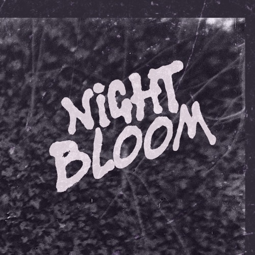 Night Bloom’s avatar