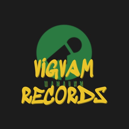 VIGVAM’s avatar