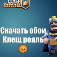 olgarappp