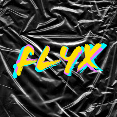FlyX