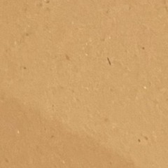 raiyaan