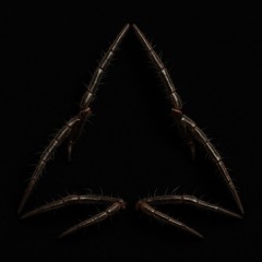 ∴