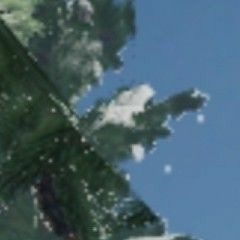 Netheral