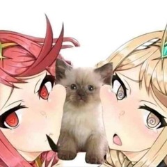 оwotkao