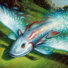 gaytransmulldrifter