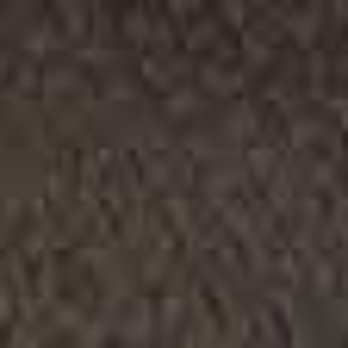 BACK TO YESTERDAY! (Live At Rod Laver Arena)