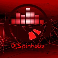 SPINHEDZ