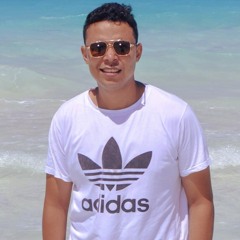 Ahmed Walid 8